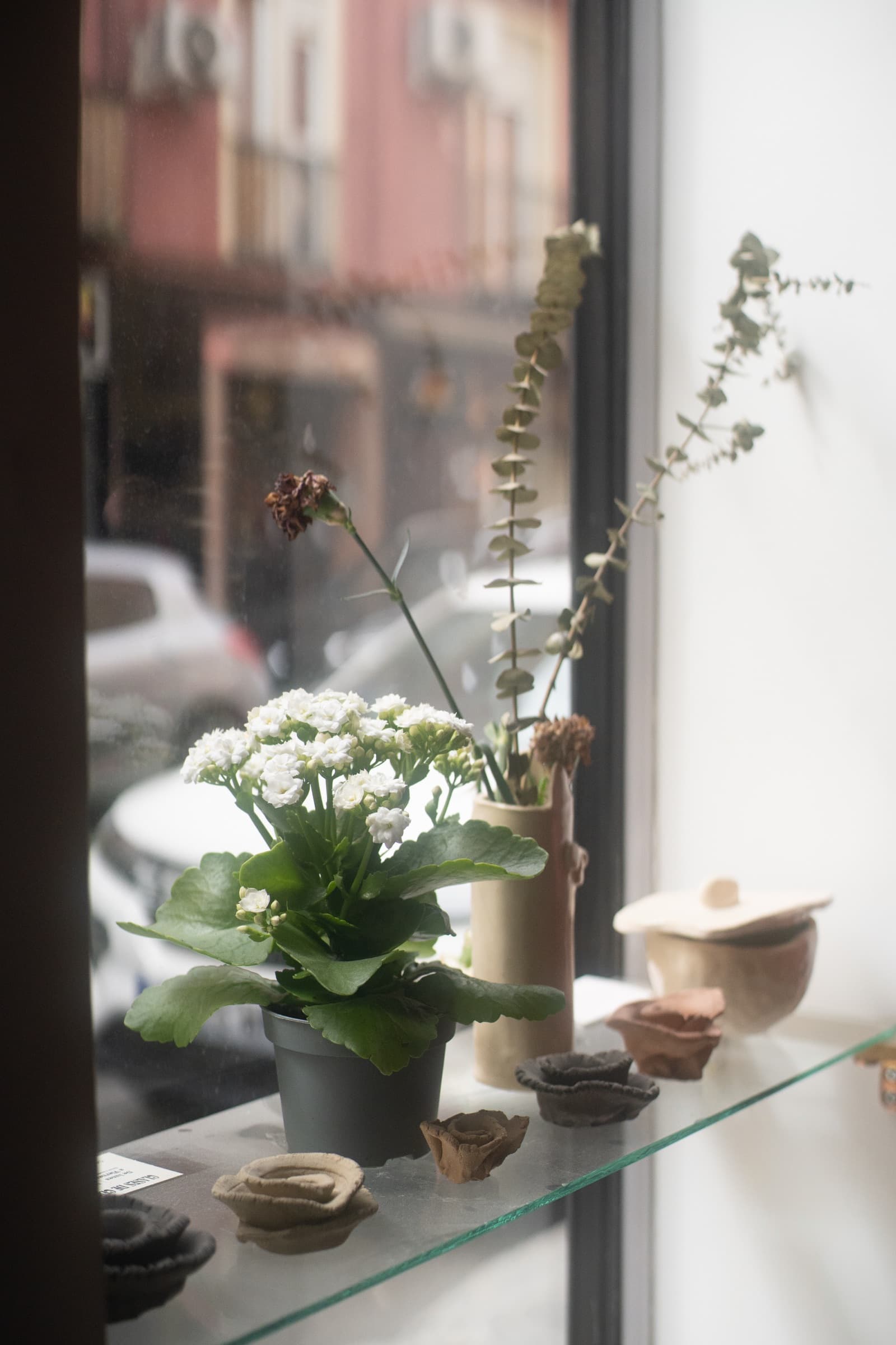 detalle del escaparate con flores secas y piezas pequeñas