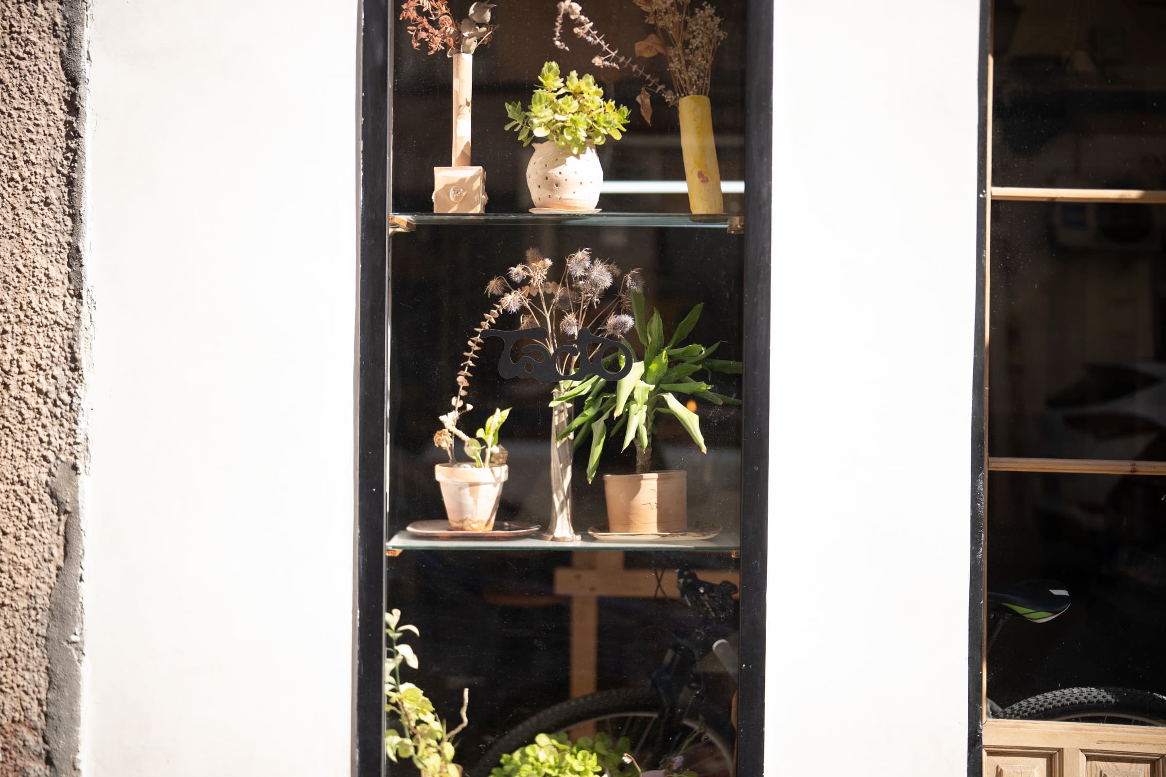 escaparate con plantas